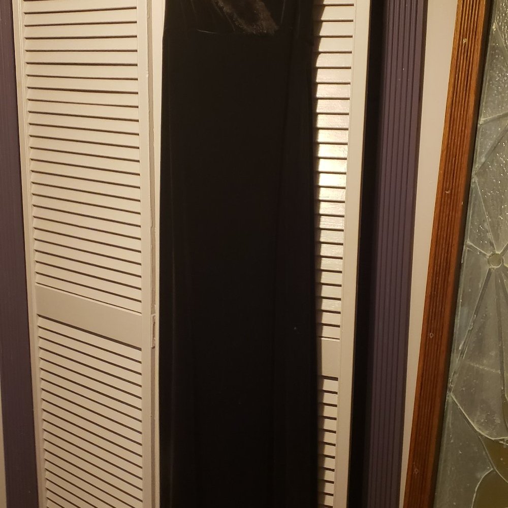 Fur-collared Evening Dress